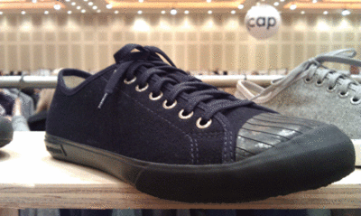 seev.gif
